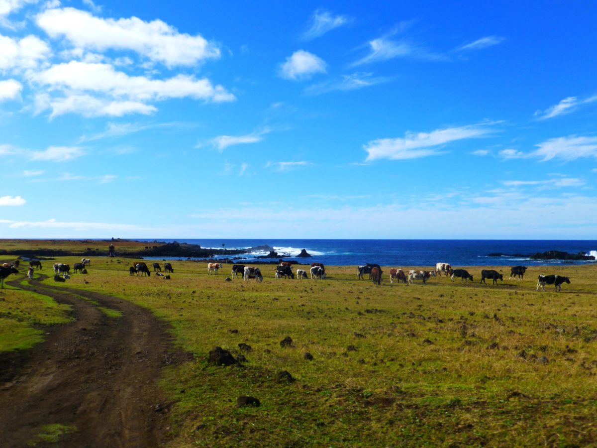 Easter Island, Chile